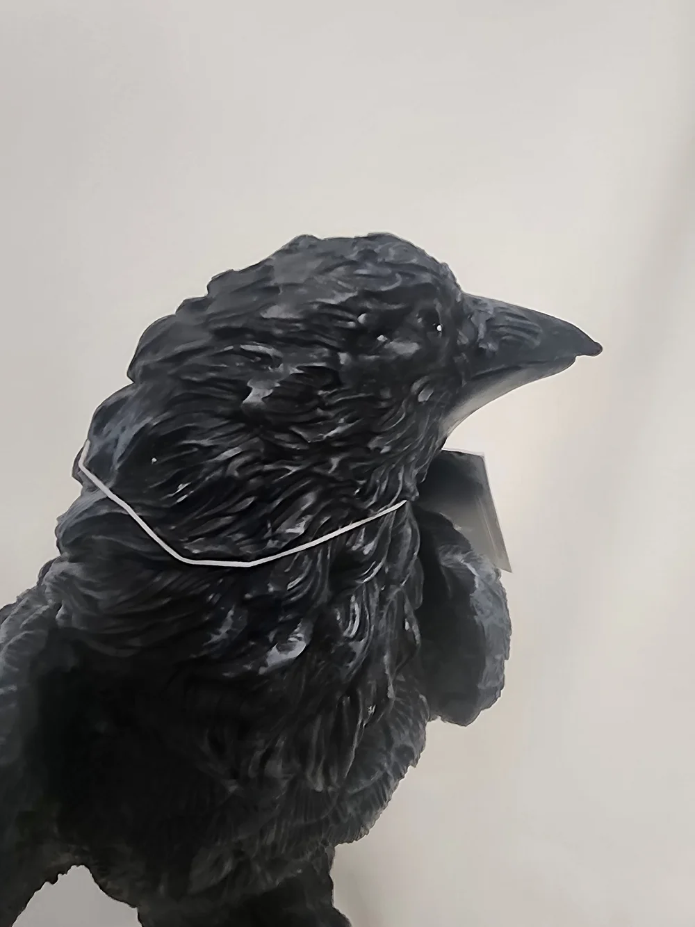 N/A elegant black